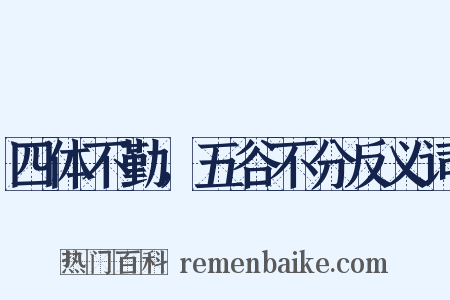 四体不勤，五谷不分反义词是什么意思的图片